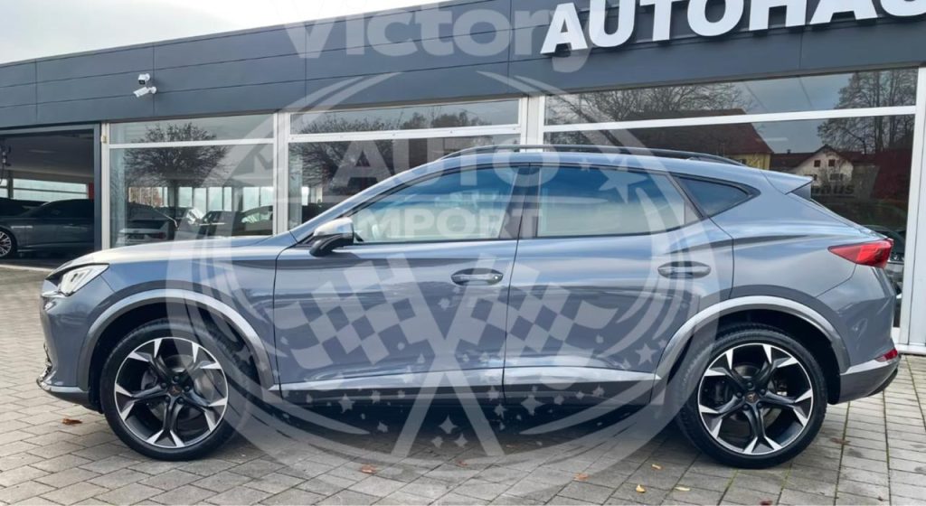 photo_2_2026-02-20_12-06-01