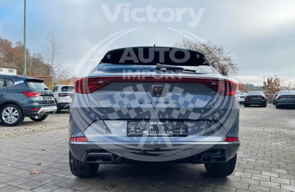 photo_3_2026-02-20_12-06-01