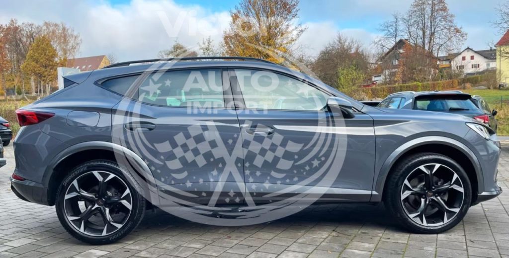 photo_4_2026-02-20_12-06-01