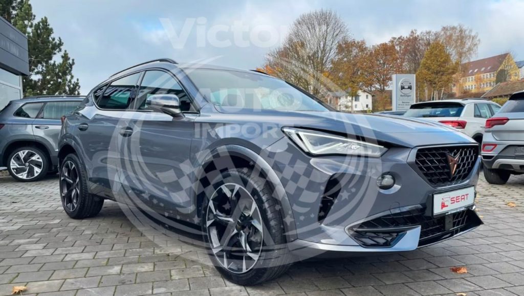 photo_7_2026-02-20_12-06-01