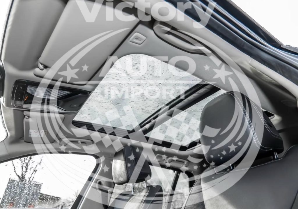 photo_9_2026-02-17_15-02-13