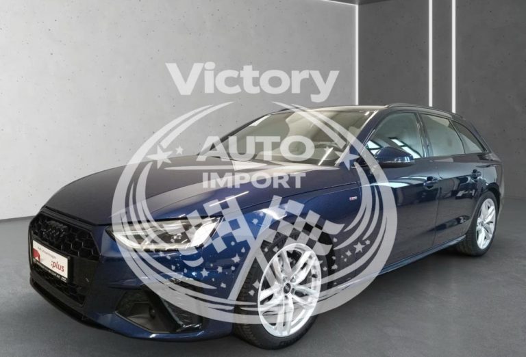 photo_2_2026-02-17_15-03-11