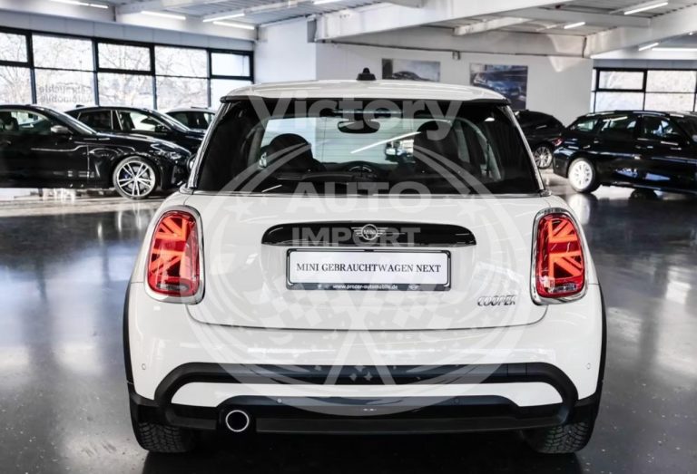 photo_3_2026-03-10_15-06-01