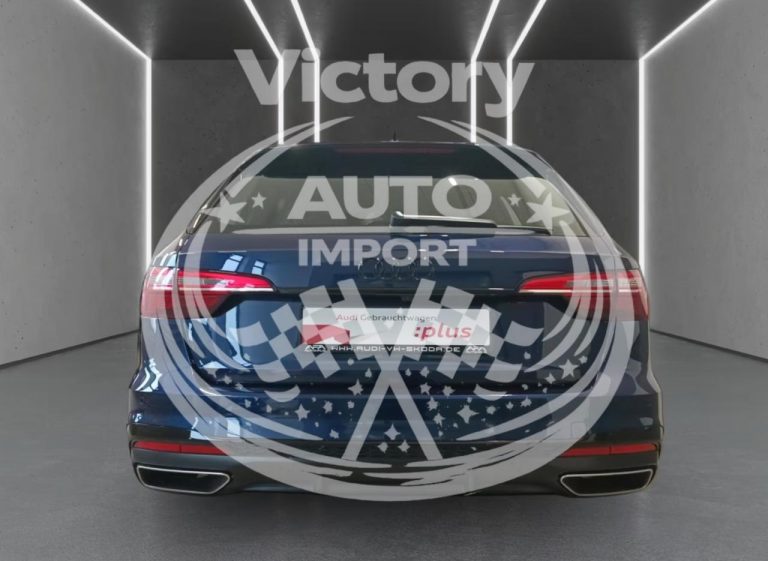 photo_4_2026-02-17_15-03-11