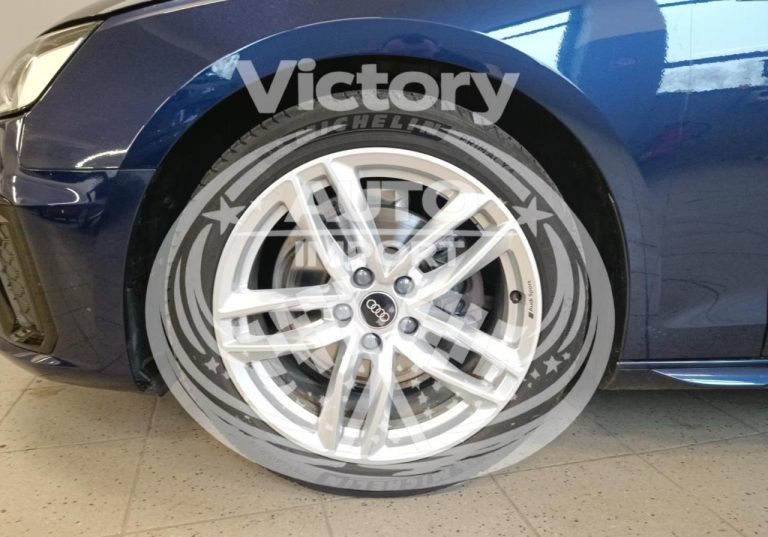 photo_6_2026-02-17_15-03-11